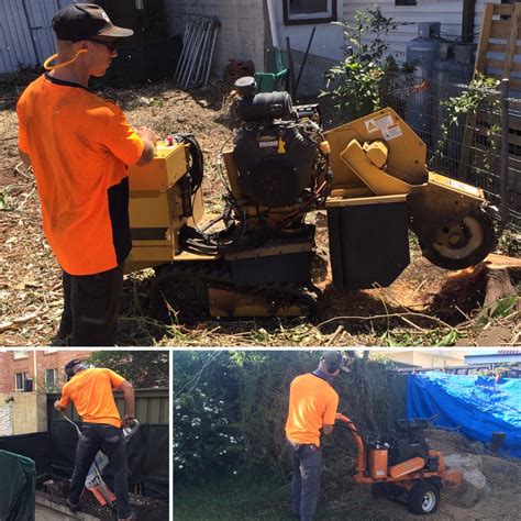 Tree Stump Grinding & Removal Services Newcastle NSW