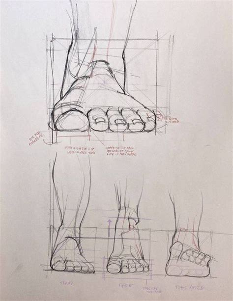 Foot Drawing 的图像结果