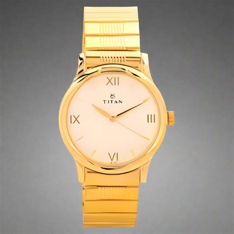 TITAN NF1580YM01C QUARTZ ANALOG WATCH – Universal Watch Company