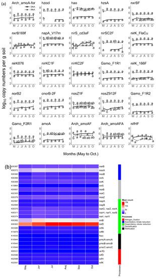 The Microbial Nitrogen Cycling, Bacterial Community Composition, and ...