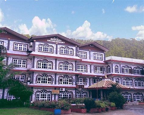 AVOCADO AND ORCHID RESORT (Hetauda) - Inn Reviews, Photos, Rate ...