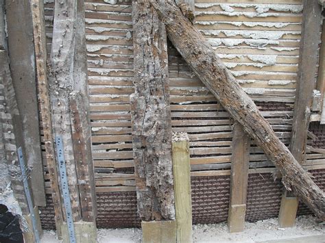 Laths And Plaster at Jeremy Fenner blog