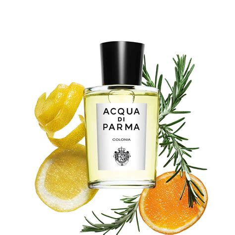 https://www.acquadiparma.com/dw/image/v2/BDPB_PRD/on/demandware.static/-/Sites-adp-master-catalog/default/dw3c4c608e/images/hi-res-1/ADP009-100ML.3.H1.jpg?q=85&sw=1560