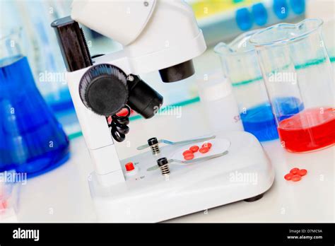 Image result for Using Light Microscope