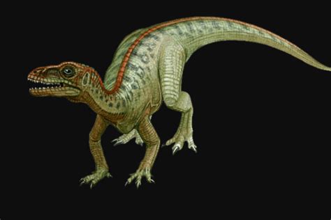 世界最早的恐龙：始盗龙 仅10公斤重(拥有罕见五根前爪)_探秘志