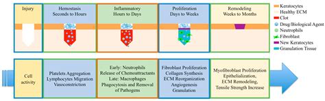 Electrospun Fibers as a Dressing Material for Drug and Biological Agent ...