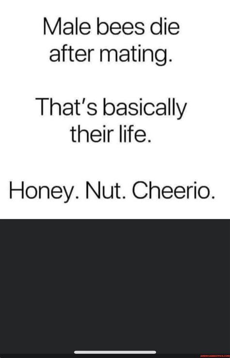 Male bees die after mating. That's basically their life. Honey. Nut ...