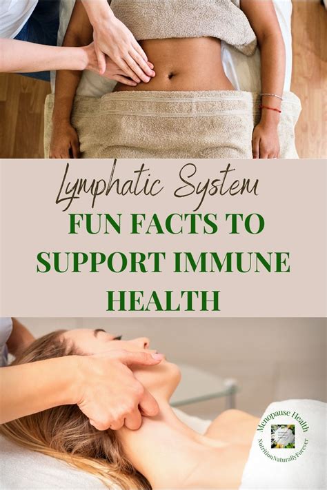 Rezultat imagine pentru Lymphatic System Fun