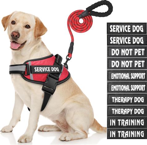 Service Dog Vest, DEWVIE Dog Harness and Leash Set with 10 Patches ...