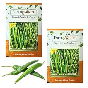 Farmgo ~ Chilli Green Long Hot Pepper F1 Hybrid Seeds | 2 Packets - 50 ...