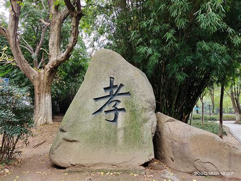 董姓女孩的名字大全有内涵2021_2021牛年宝宝起名大全* - 美名腾智能起名网