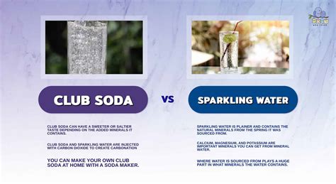 Club Soda Vs Tonic Water Vs Sparkling Water Vs Seltzer Water Vs Soda ...