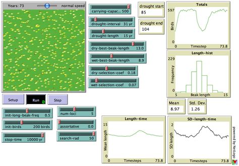 Computer Simulation Evidence of Evolution 的图像结果