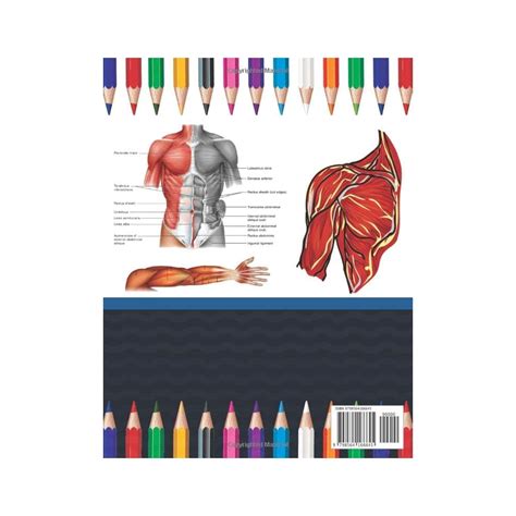 Musculoskeletal Anatomy Coloring Book: Now you can India | Ubuy
