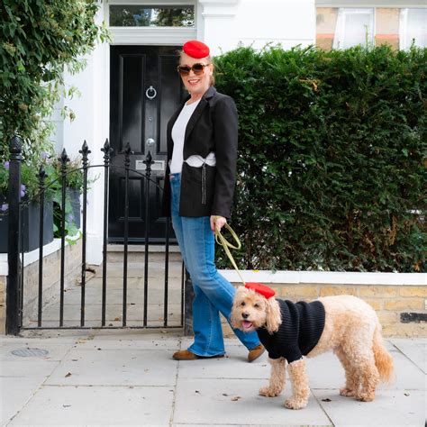 Login | Meet My Paws