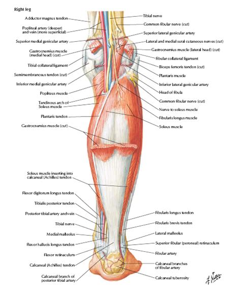 Home | NAMO Medical Education & Research Institute