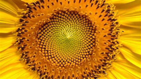 Image result for AutoCAD Light Settings Explained