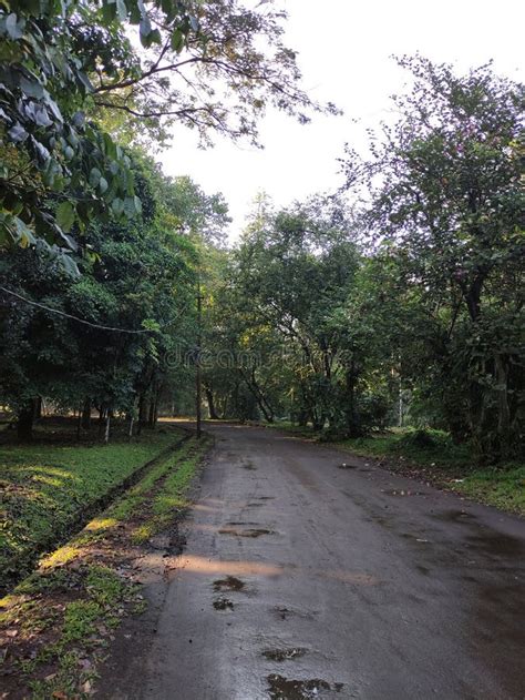 Image result for Cool View