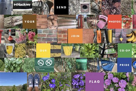 Co-operative Rainbow Flag 的图像结果