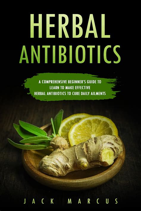 Herbal Antibiotics: A Comprehensive Beginner's Guide to Learn to Make ...