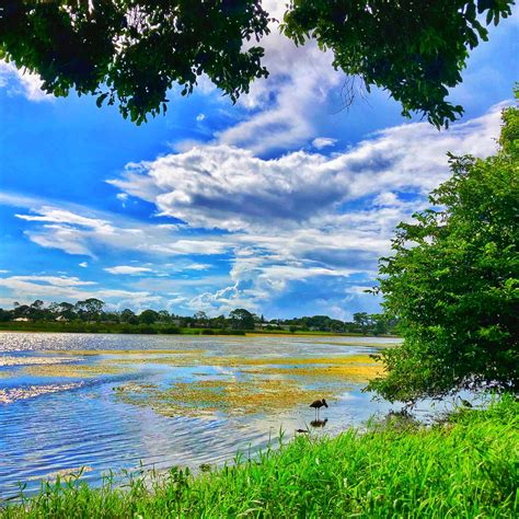John Prince Park Campground | Lake Worth, FL