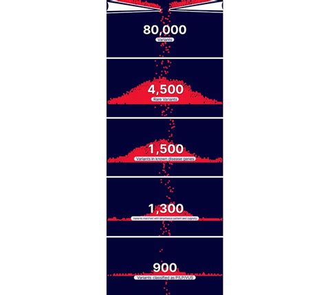 Genetic Testing 的图像结果