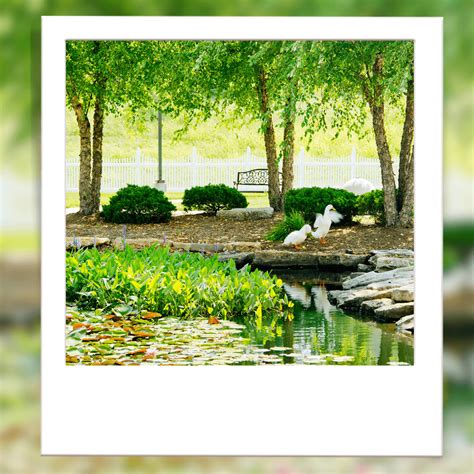 Home - Wilshire at Lakewood