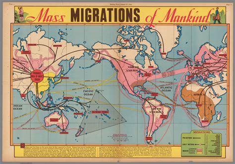 Mass Migrations of Mankind. August 27, 1944. - David Rumsey Historical Map Collection