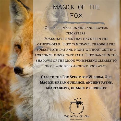 Meaning Of Fox Spirit Guide at Sheila Tejada blog