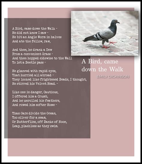 A Bird Came Down | Poetry For All Seasons and Emotions