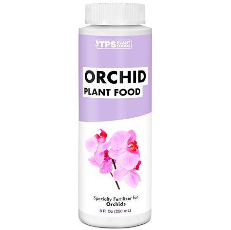 Orchid Plant Food: A Guide to Nourishing Your Orchids for Optimal ...