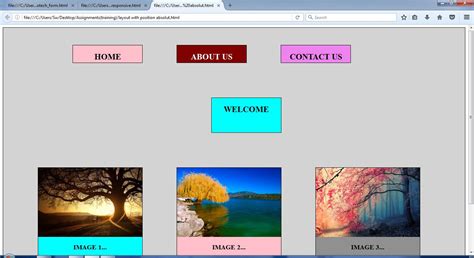 Image result for AbsoluteLayout Output in Java