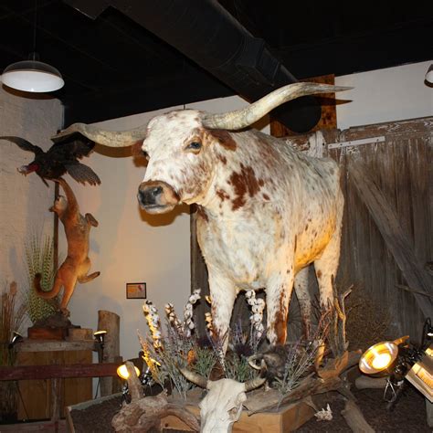 WHITESIDE MUSEUM OF NATURAL HISTORY - All You Need to Know BEFORE You ...