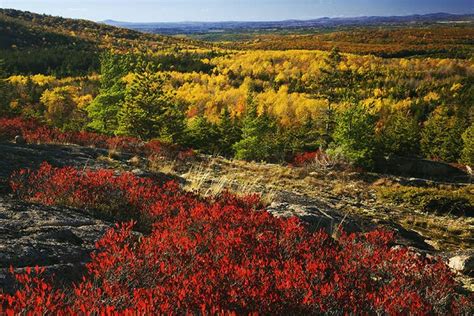 Colorful World 的图像结果