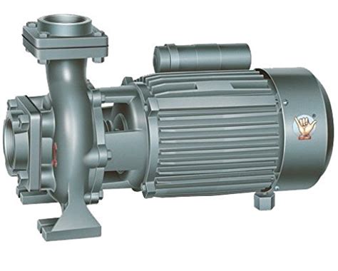 TOPLAND Centrifugal Electric Monoset Pumps Single Phase (Grey, 2.0 Hp ...