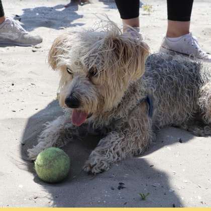 The Talent Institute Office Photos