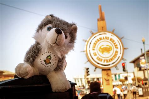 Pineapple Places: The Top 3 Things To Do In San Francisco ...