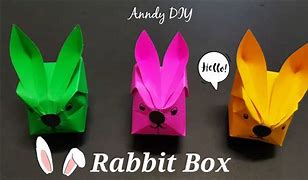 Image result for Baby Rabbit Box
