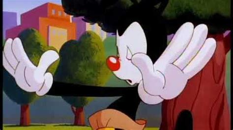 Animaniacs Wheel of Morality 的图像结果