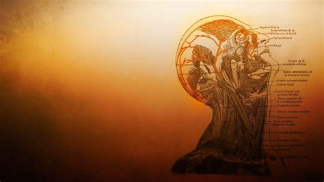 Medicine Wallpaper 的图像结果