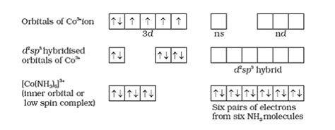 Explain the structure of [Co(NH3)6]3+ - CBSE Class 12 - Learn CBSE Forum