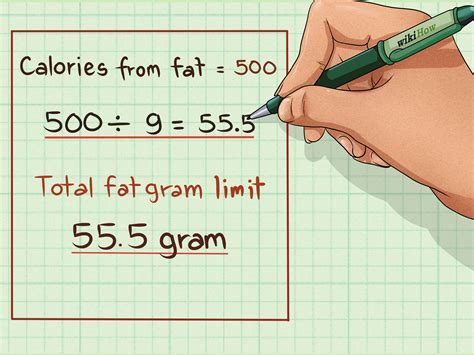 Steps calorie calculator - tiklogram