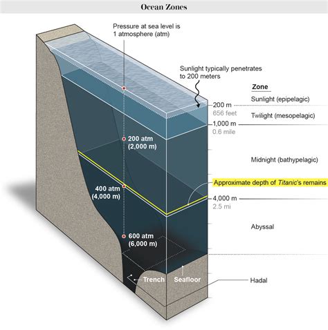 See How Crushing Pressures Increase in the Ocean's Depths - Scientific ...