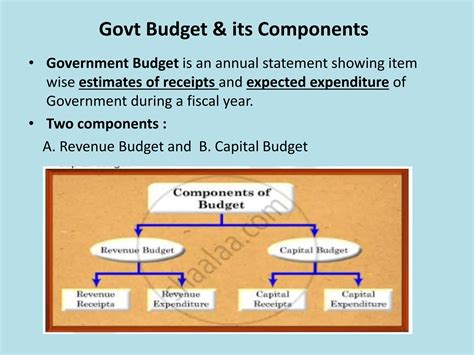 Components Of Government Budget Class 12
