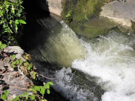 El Fluvià a su paso por Sant Roc