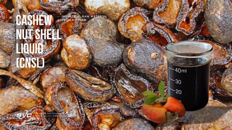 Image result for Coding in a Nut Shell