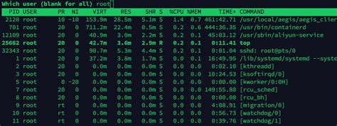 Explaining Linux Top 的图像结果