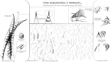 Ogun | CEPT - Portfolio