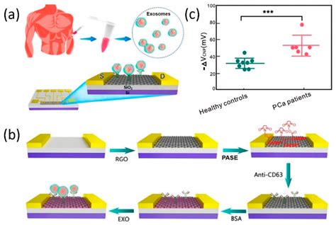 Recent Advances in the Fabrication and Application of Graphene ...