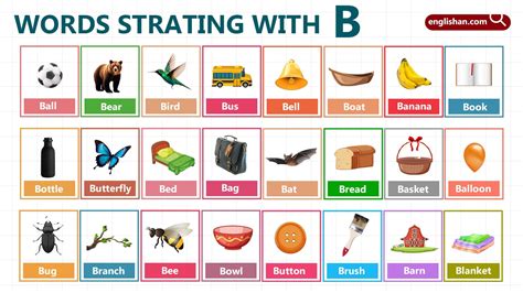 Words That Start With B: 450+ Vocabulary Words in English